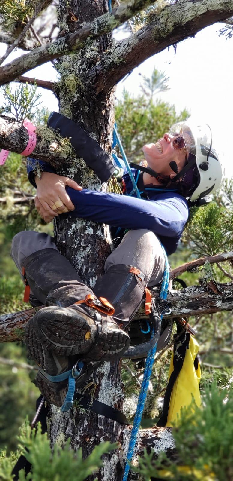 Dr. Gotsch climbing a tree